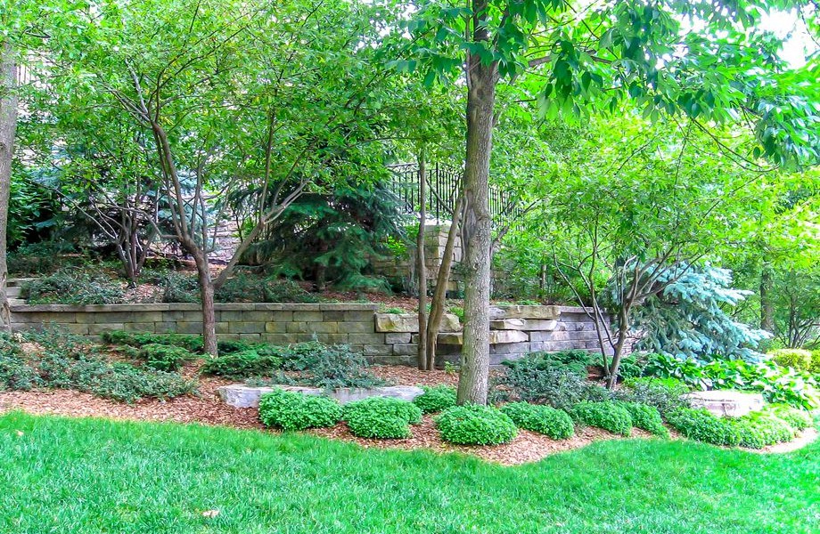 Native Plantings1