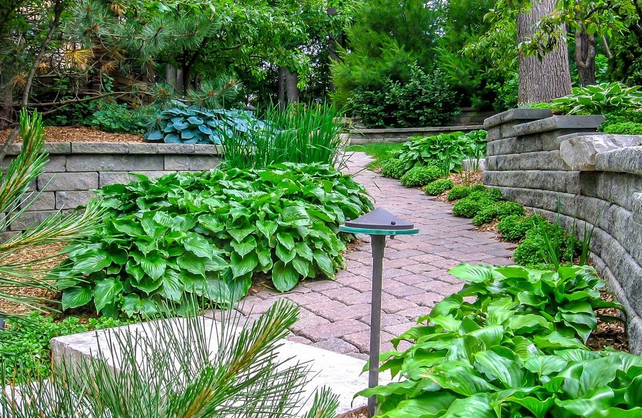 Terraced Paver Walkway